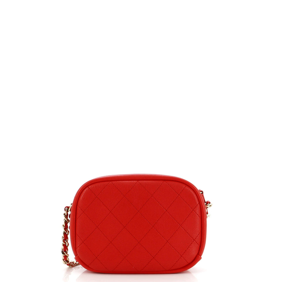 Casual Trip Camera Case Quilted Goatskin Small