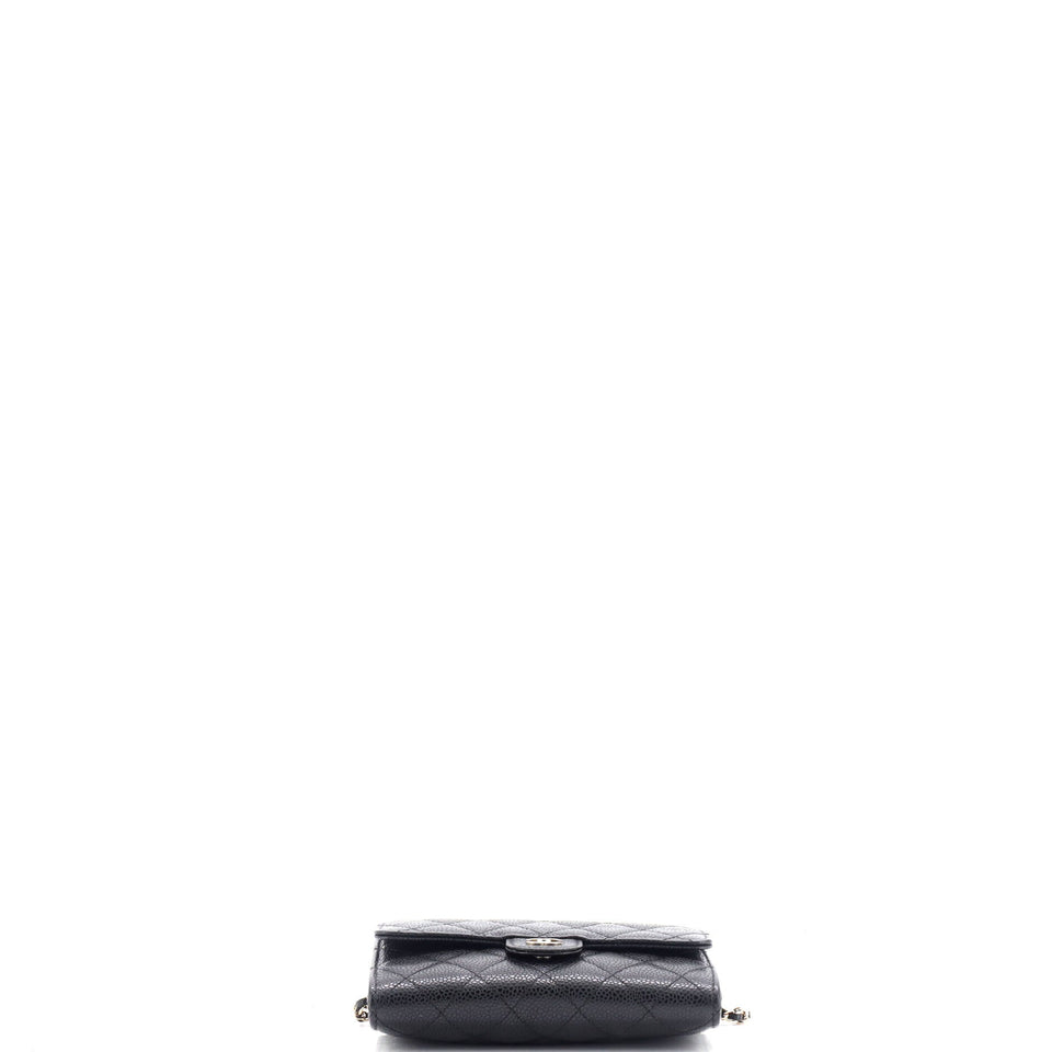 Classic Flap Wallet Crossbody Bag Quilted Caviar Mini