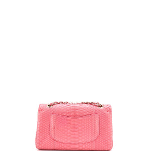 Classic Double Flap Bag Python Medium