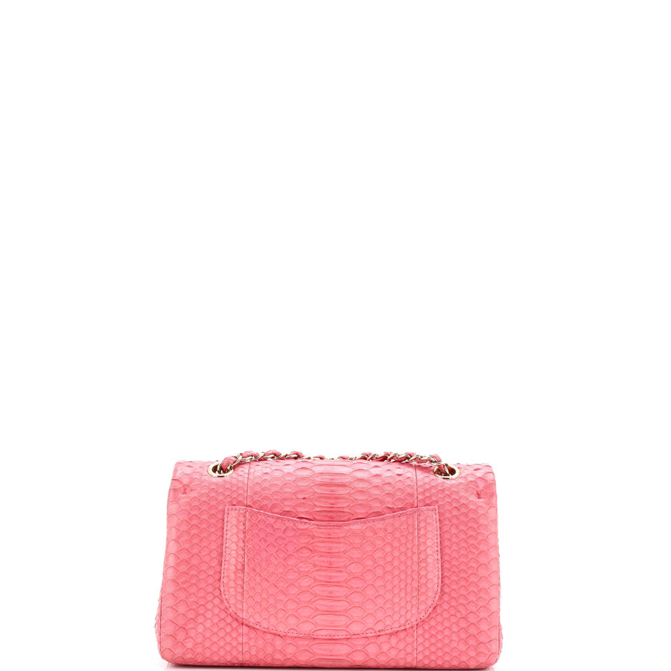 Classic Double Flap Bag Python Medium
