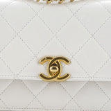Perfect Fit Flap Bag Quilted Calfskin Mini