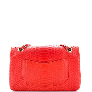 Classic Double Flap Bag Python Medium