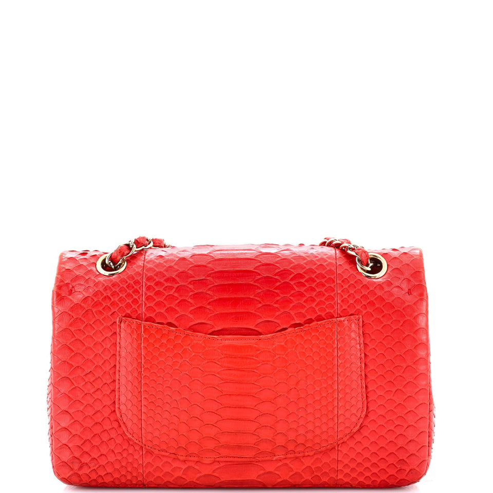 Classic Double Flap Bag Python Medium