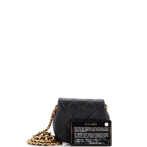 Coco Mail Clutch with Chain Quilted Calfskin Mini