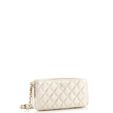 Double Zip Clutch with Chain Quilted Lambskin