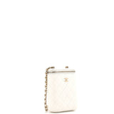 Vertical Classic Vanity Case with Chain Quilted Caviar Small
