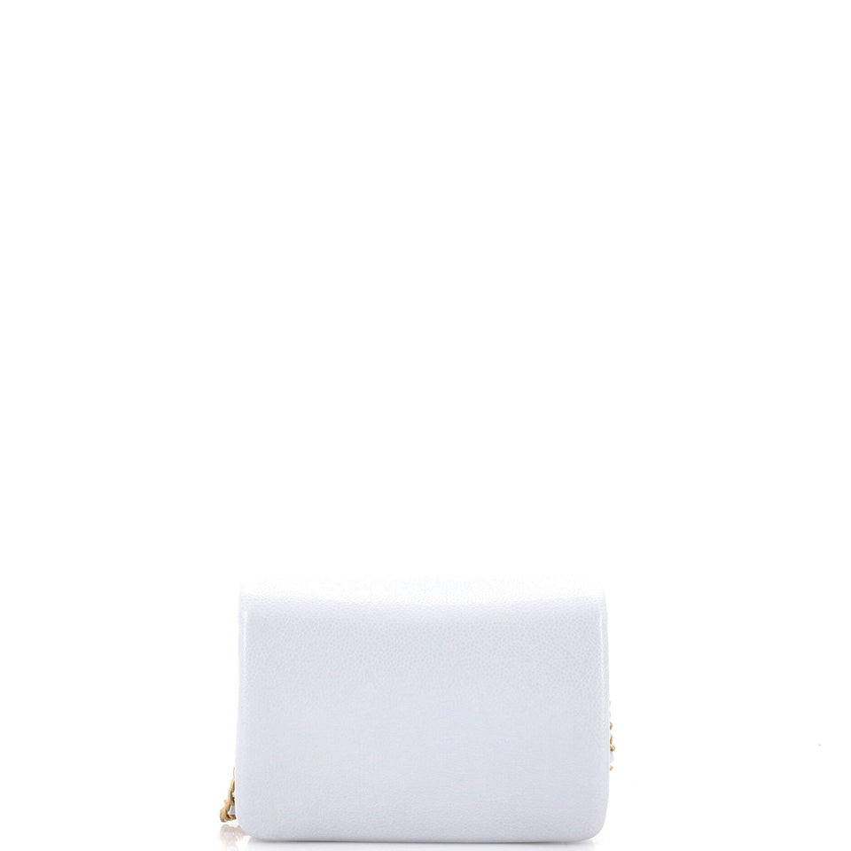 CC Medallion Charms Flap Bag Caviar Mini
