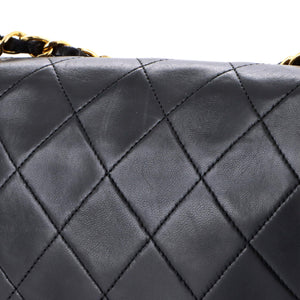 Vintage Diana Flap Bag Quilted Lambskin Medium