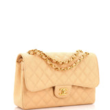 Classic Double Flap Bag Quilted Caviar Jumbo