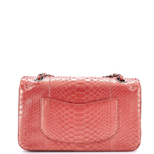 Classic Double Flap Bag Python Medium