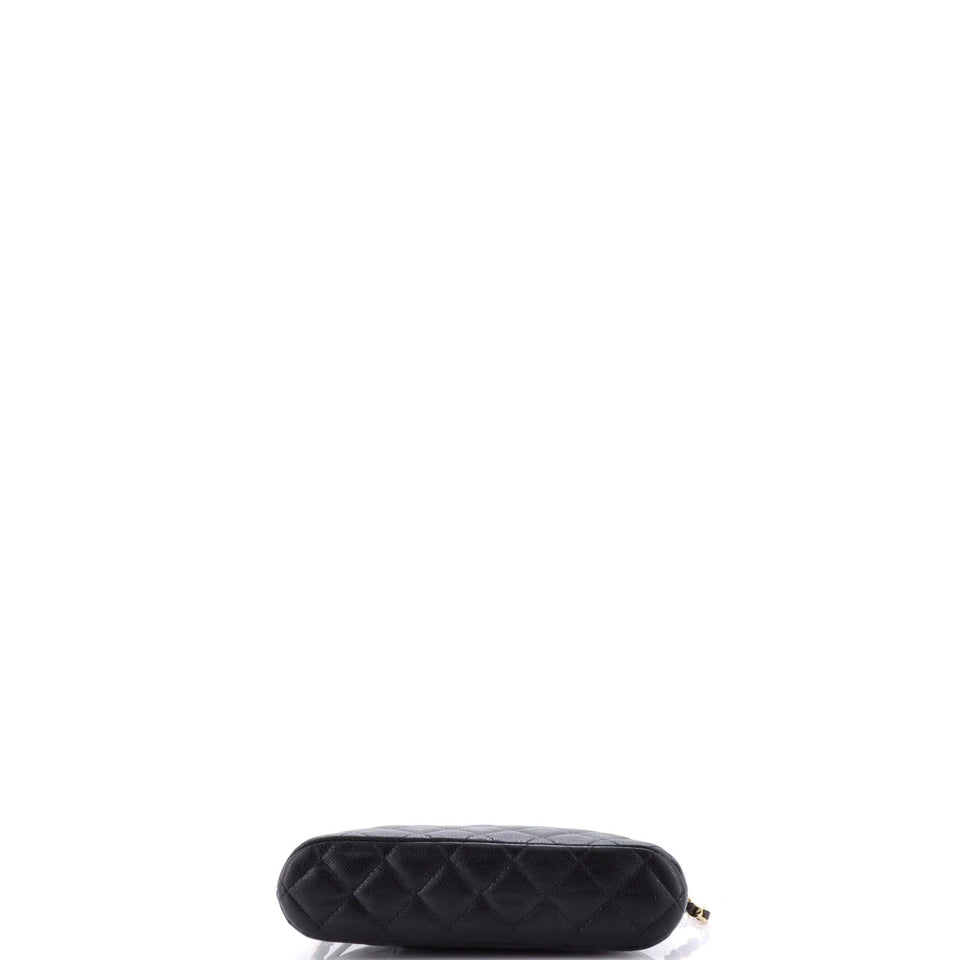 CC Dome Zip Clutch with Chain Quilted Caviar Small