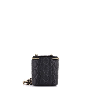 Vertical Classic Vanity Case with Chain Quilted Caviar Mini