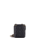 Vertical Classic Vanity Case with Chain Quilted Caviar Mini