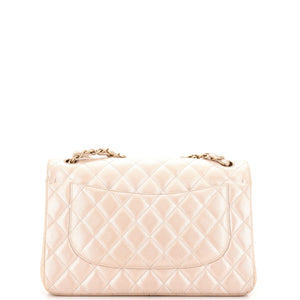 Classic Double Flap Bag Quilted Iridescent Caviar Jumbo