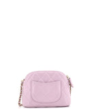 CC Dome Zip Clutch with Chain Quilted Caviar Mini