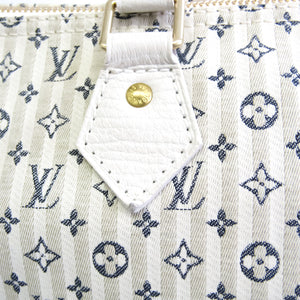 LOUIS VUITTON Louis Vuitton Speedy 30
