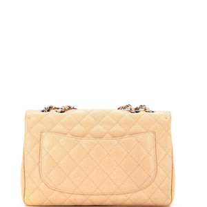 Classic Double Flap Bag Quilted Caviar Jumbo