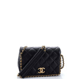 Chain Around Multi Chain Full Flap Bag Quilted Caviar Mini