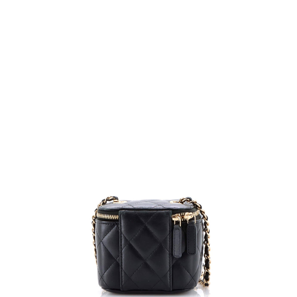 Camellia Bow Vanity Case with Chain Quilted Lambskin Mini