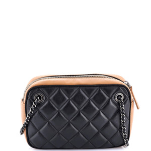Ballerine Camera Case Bag Quilted Calfskin Small