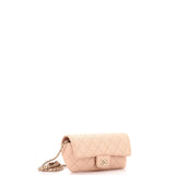 Classic Sunglasses Case with Chain Quilted Caviar