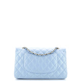 Classic Double Flap Bag Quilted Iridescent Lambskin Medium