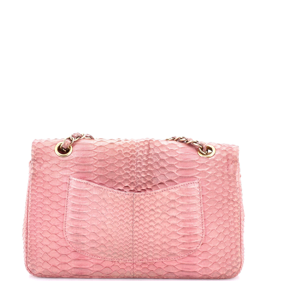 Classic Double Flap Bag Python Medium