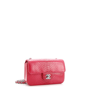 Classic Single Flap Bag Python Mini