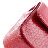 Classic Single Flap Bag Python Mini