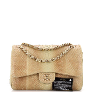 Classic Double Flap Bag Python Jumbo