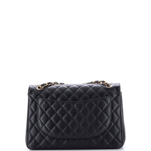 Classic Double Flap Bag Quilted Caviar Maxi