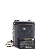 Vertical Classic Vanity Case with Chain Quilted Caviar Small