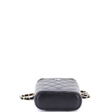 Vertical Classic Vanity Case with Chain Quilted Caviar Small
