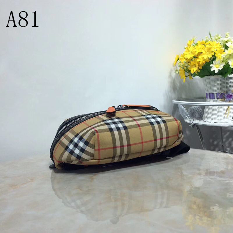 Burberry Bags - Bagsattire   061