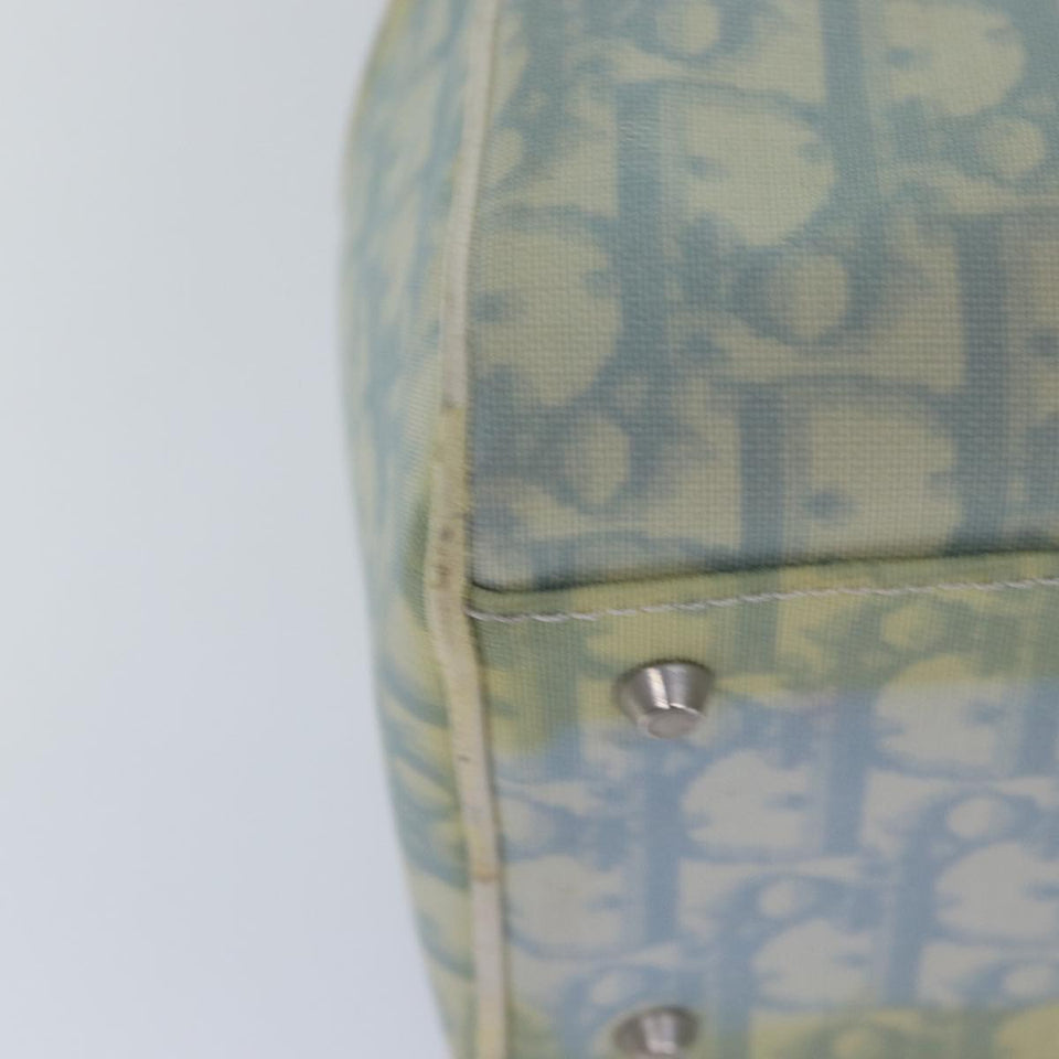 Dior Trotter  Canvas Handbag