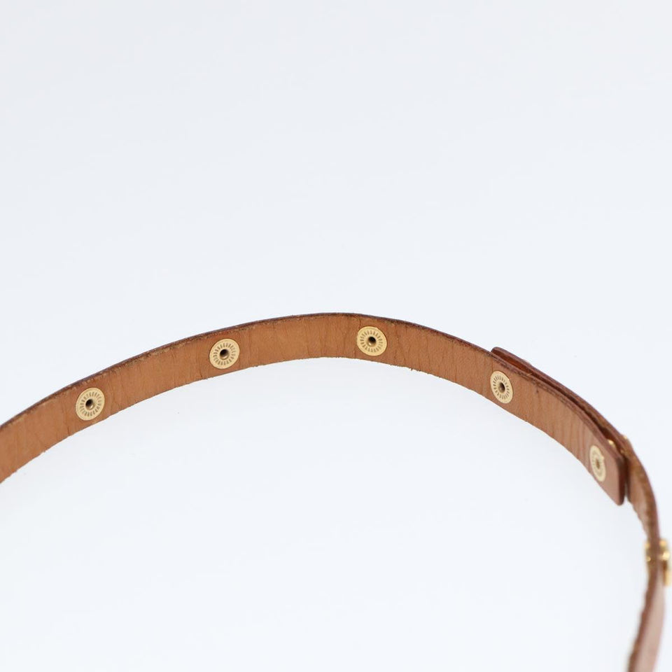 Louis Vuitton Florentine  Canvas Clutch Bag