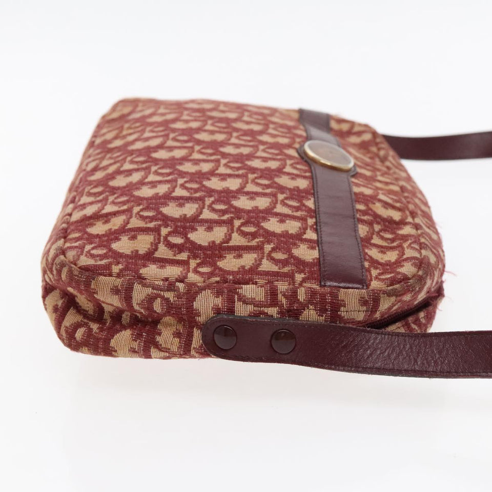 Dior Oblique  Canvas Shoulder Bag