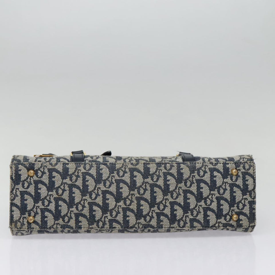 Dior Saddle  Canvas Shoulder Bag