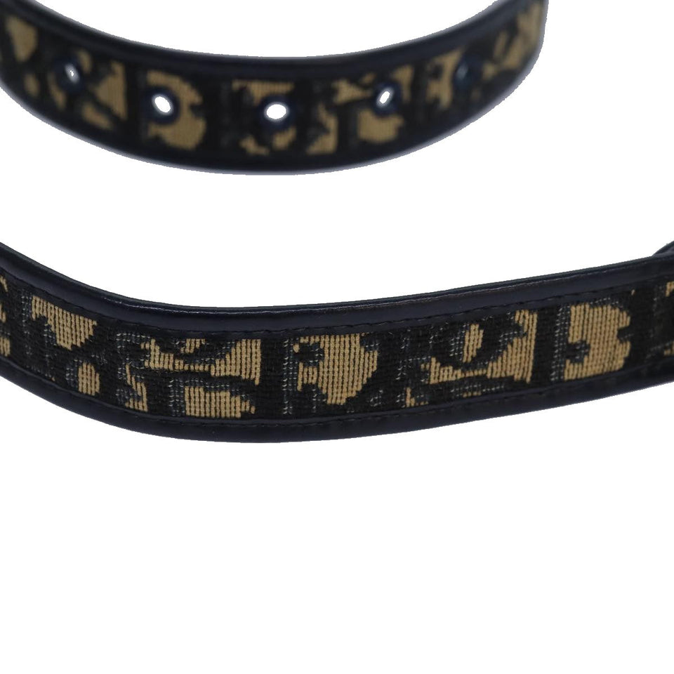 Dior  Canvas Belt