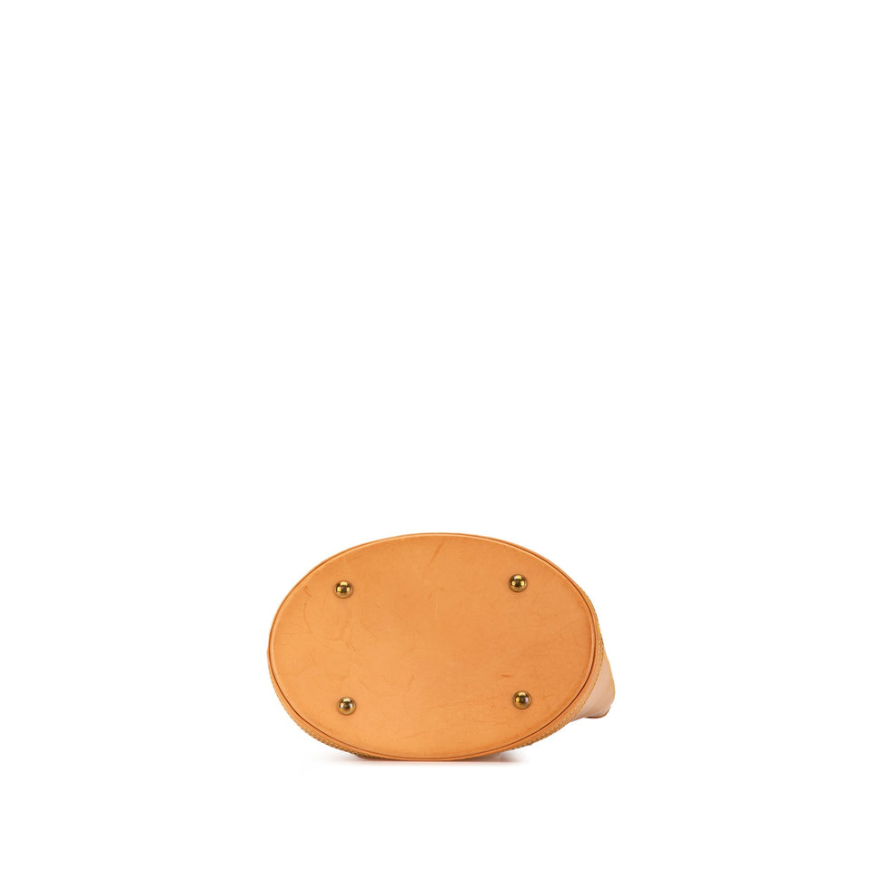 Brown Louis Vuitton Nomade Petit Bucket