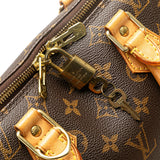 Brown Louis Vuitton Monogram Alma PM Handbag
