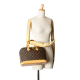 Brown Louis Vuitton Monogram Alma PM Handbag