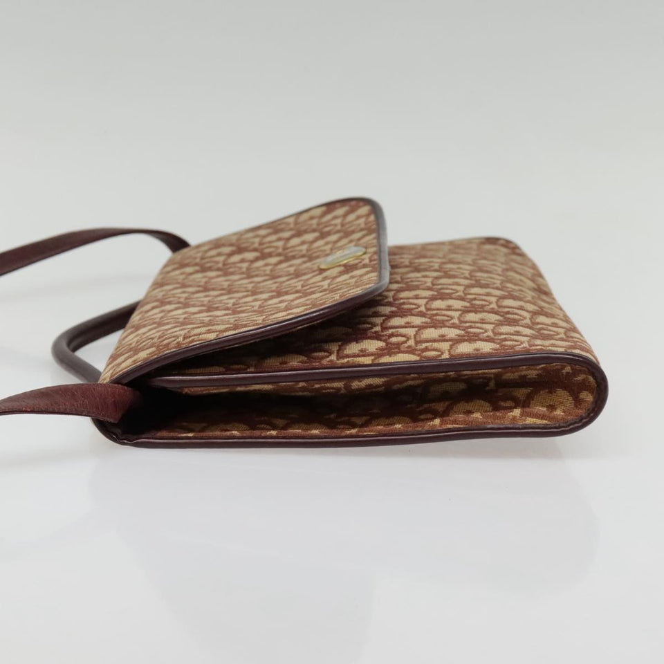 Dior Trotteur  Canvas Shoulder Bag