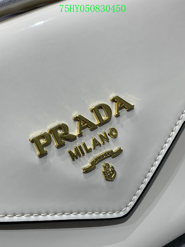 Prada Bags - The Barnes Bags  015