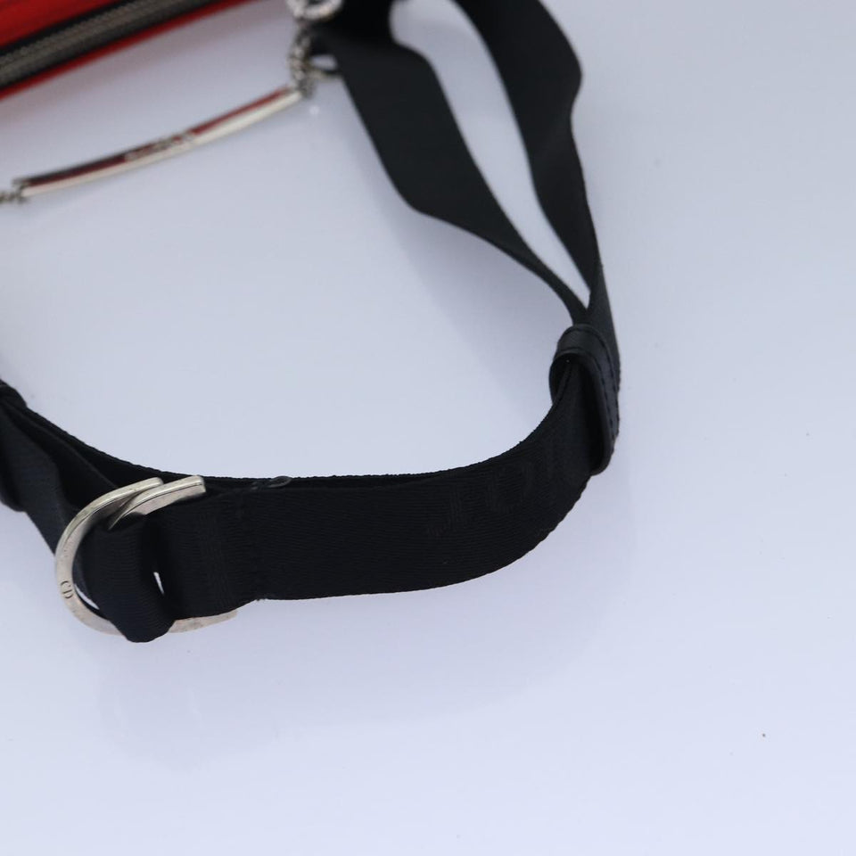 Dior Hardcore  Silk Shoulder Bag