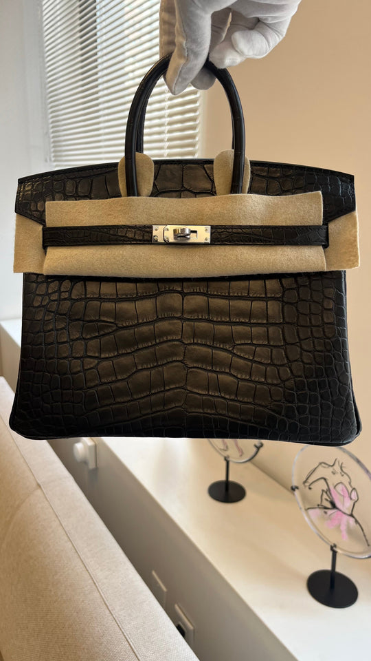 Hermes Birkin 25cm Matte Alligator