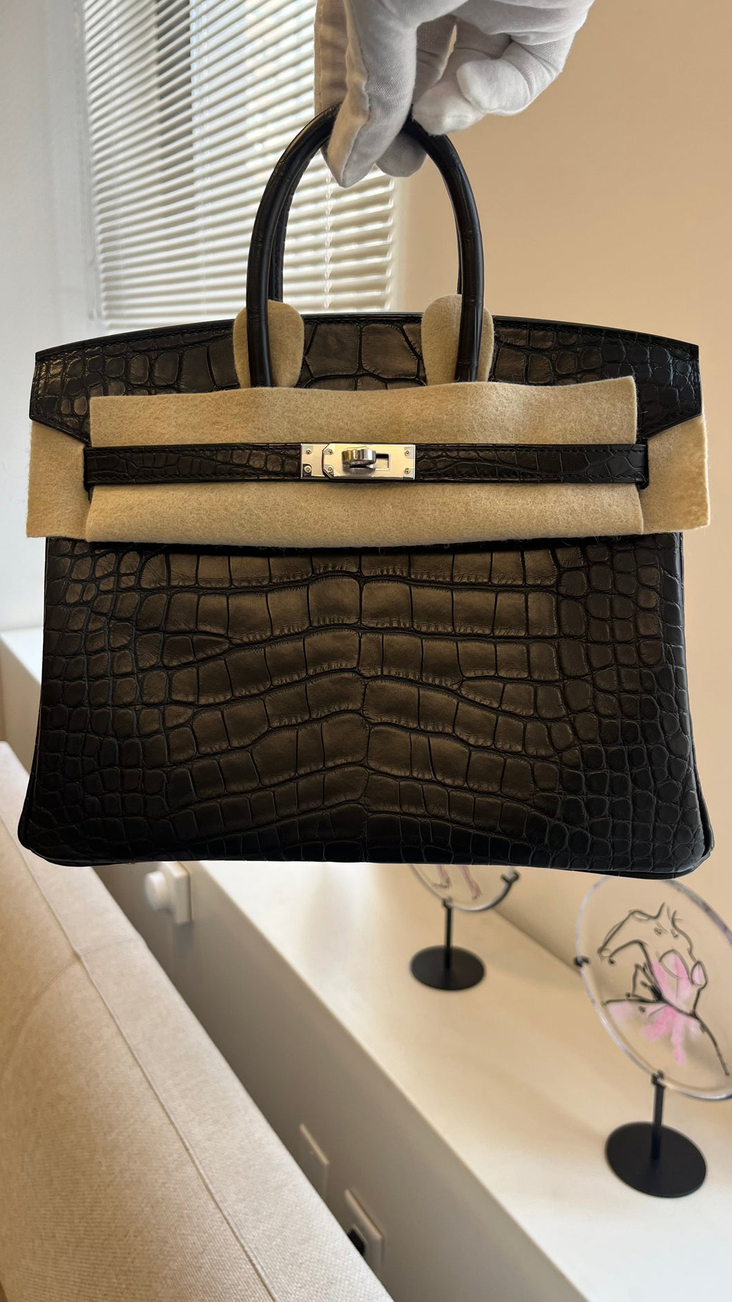 Hermes Birkin 25cm Matte Alligator