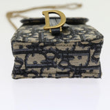 Dior Saddle  Canvas Clutch Bag