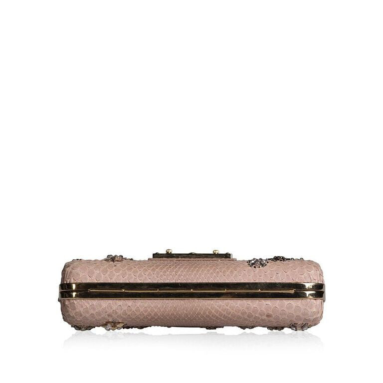 Minaudiere Python Clutch
