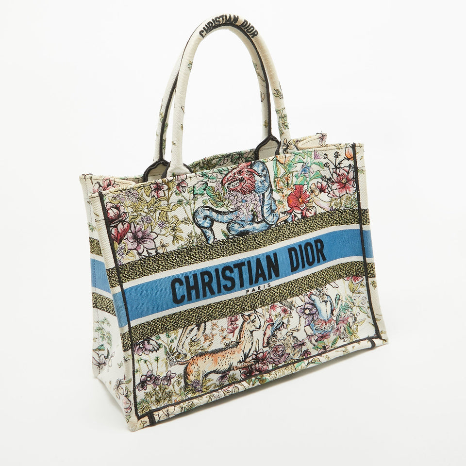 Dior color Embroidered Canvas Medium Book Tote